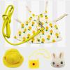 Cute Japanese Korean Style Pet Clothes & Leash for Rabbits and Cats