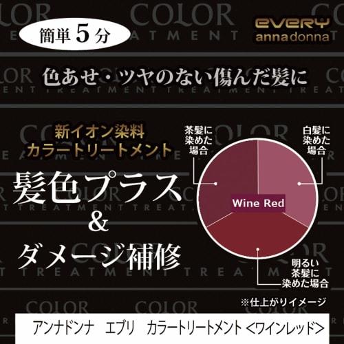 Anna Donna EVERY Color Treatment Wine Red 160g (x 1)