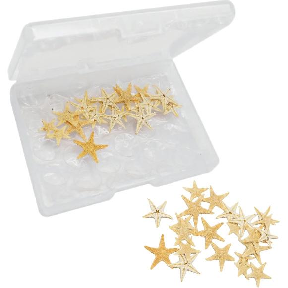Julie Wang 20PCS 0.2-0.5 inches Tiny Small Miniature Natural Starfish Micro-Landscape Beach Wedding Nautical Ornament Shells Resin Craft DIY Vase