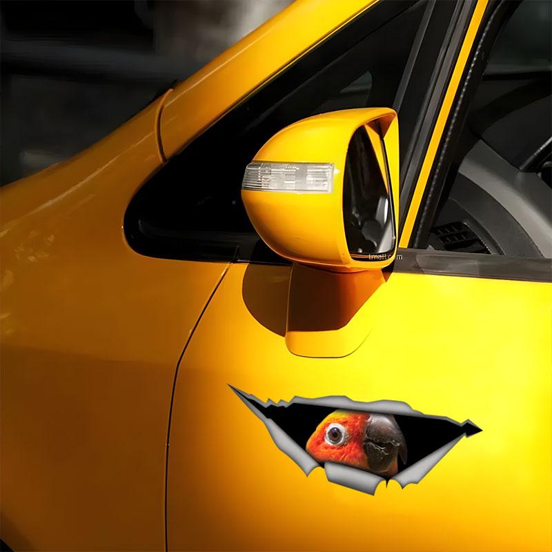 Güneş Konuru Papağanı Araba Çıkartmaları, Su Geçirmez Vinil Çıkartmalar, Araba Camları, Araba Tamponu, Araba Gövdesi için Dekoratif Aksesuarlar