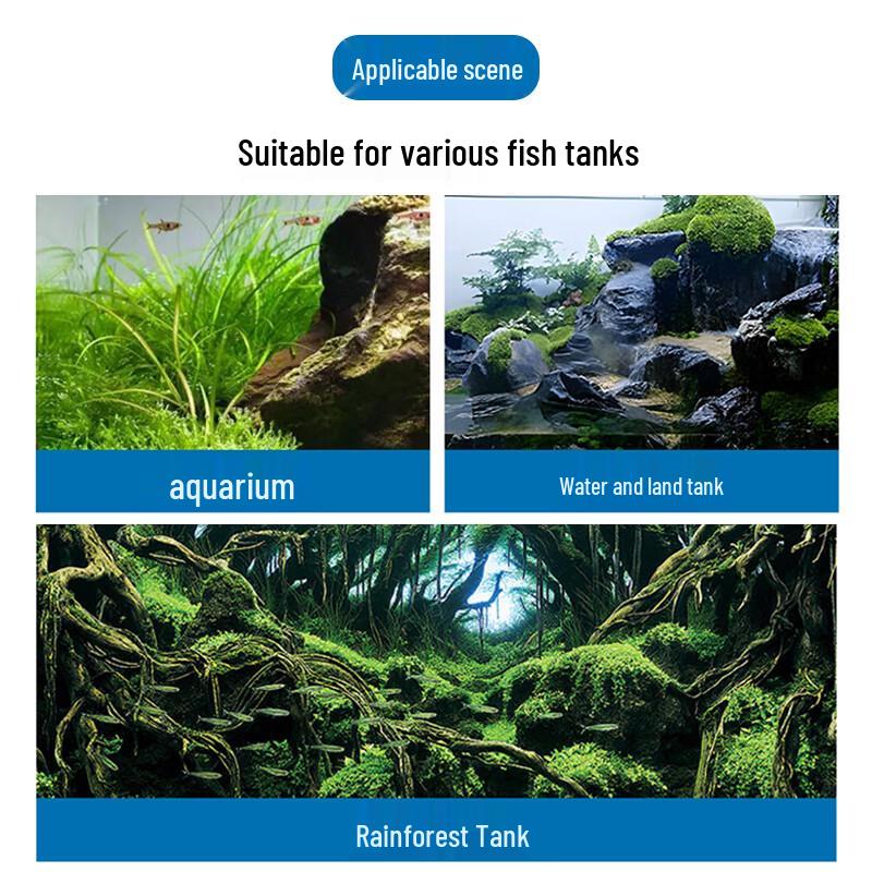 Schiuma per Scultura di Paesaggi per Acquari