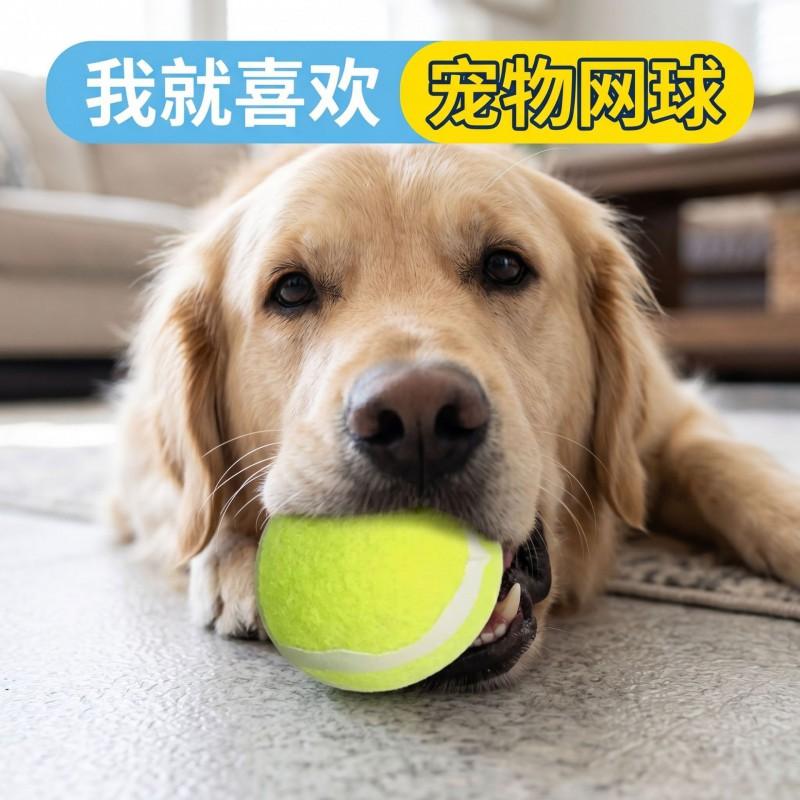 Durable Rubber Tennis Ball Dog Toy Chewing Training Outdoor Play Small To Medium Dogs