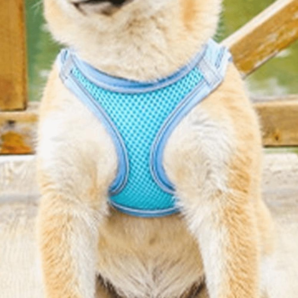 Adjustable Dog Harness Leash Set Breathable Comfortable Cat Harness Vest Reflective Escape Proof Pet Collar Harness