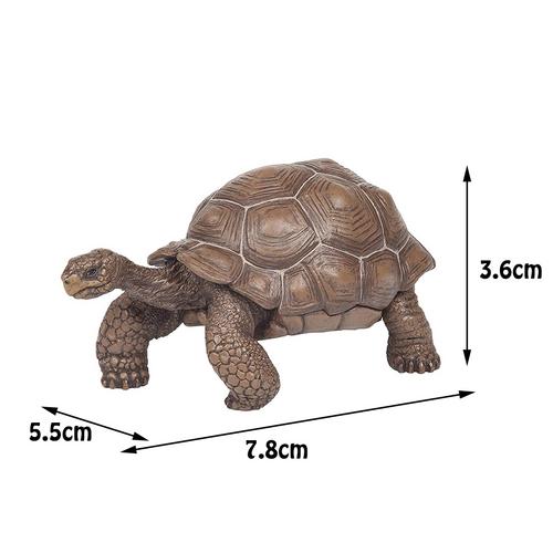 5.5inch Brazilian Red-Eared Slider Turtle Tortoise Animal Toy Action PVC Figure Galapagos Tortoise Giant Tortoise Turtle Figure