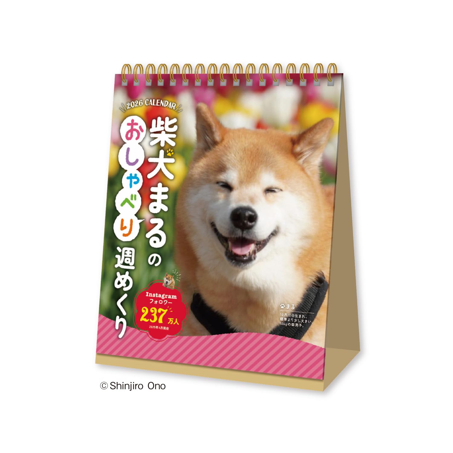 

New Japan Calendar 2026 Desktop Calendar with Maru the Shiba Inu Talking Weekly Pages (NK4600)