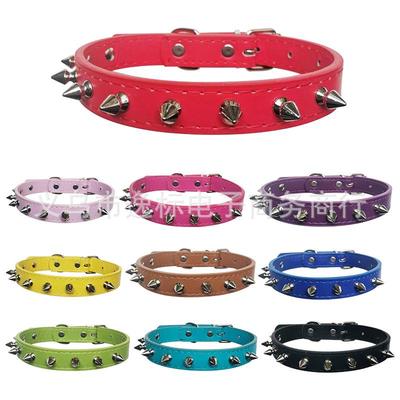 Köpek – Köpek Tasmaları ve Tasma Kayışları