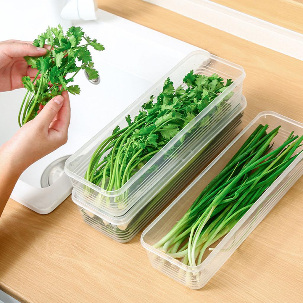 Thickened Refrigerator Storage Container for Freshing Herbs Scallions Noodles Eggs Kitchen Organizers With Airtights Lid