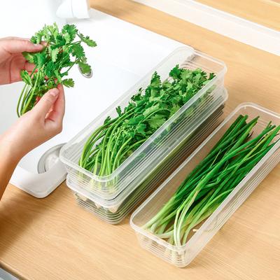 Thickened Refrigerator Storage Container for Freshing Herbs Scallions Noodles Eggs Kitchen Organizers With Airtights Lid