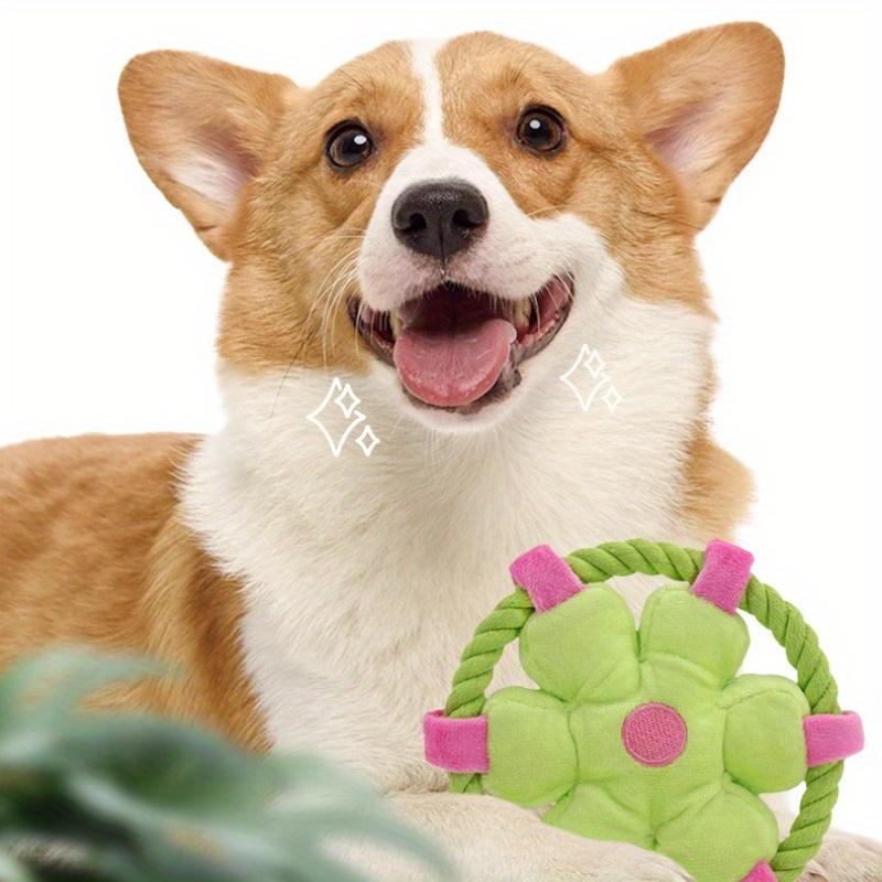 Durable Anti-Choking Dog Chew Squeaky Toy, Soft Rope Loop Design for Interactive Play, Ideal for Fetching Tug-of-War and Dental Exercise