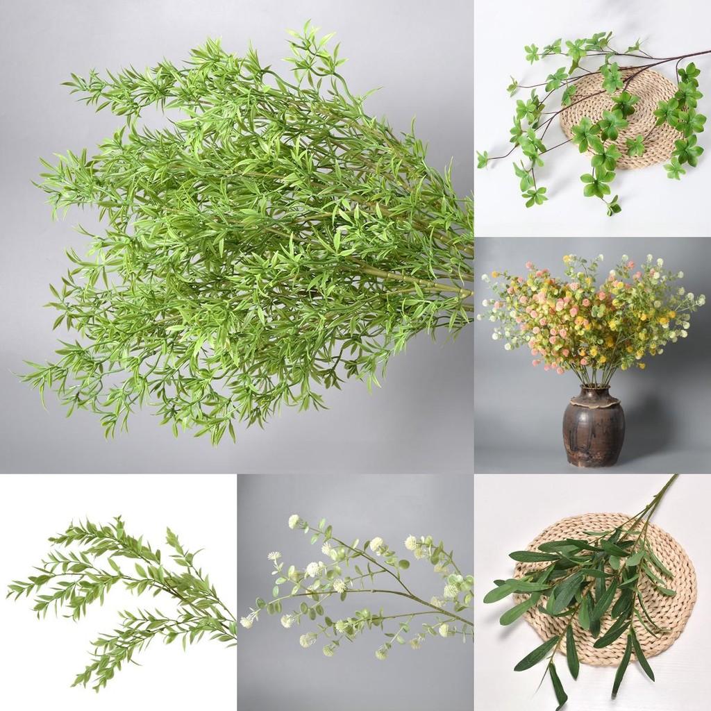 Deliciosa Liebm Monstera And Eucalyptus Citriodora Hook Green Plants Decor