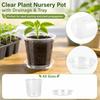 Clear Plastic Plant Pots with Drainage Holes and Saucers - 4, 5, 6, 7 Inch Sizes for Seed Starting and Propagation