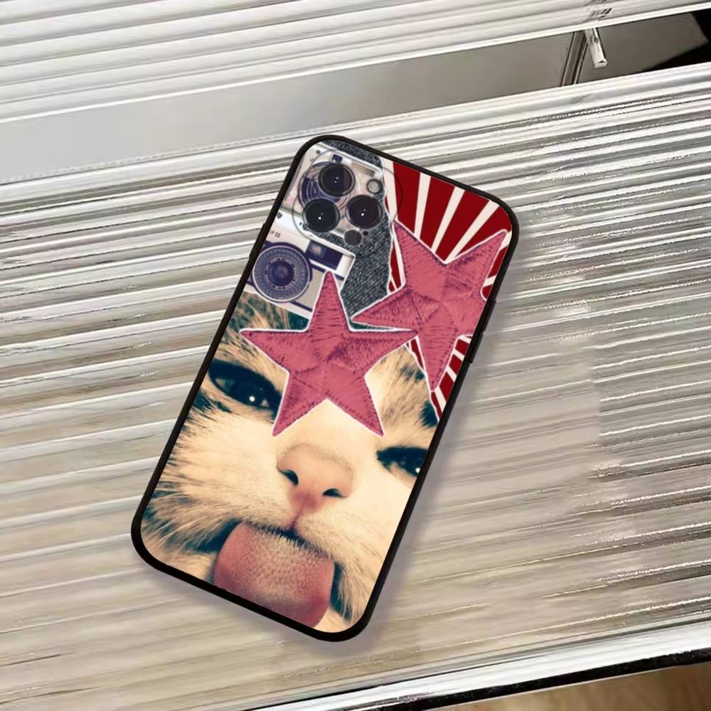 Cute Pet Cat Memes Phone Case For iPhone 17,16,15,14,13,12,11 Plus,Pro Max,XS,Soft Silicone Black Cover