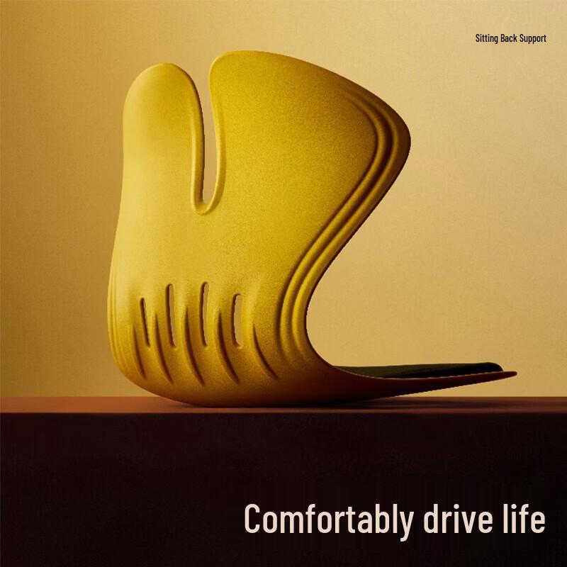 ZuoDian Posture Correcting Lumbar Support Cushion