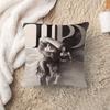 TTaylorSwift Pillow Anime Pillow Sofa Bed Head Pillow Cover Cushion Cover x cm Fashion