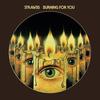 The Strawbs - Burning for You: Remastered & Expanded Edition [cd] Expanded Versi