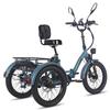 Fafrees F20 Mate Electric Cargo Tricycle 48V 21Ah Battery With L2e-P Certified