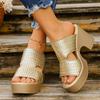 Thick Heel Women Platform Sandals Roman Style Slip-On Shoes Hollow Out Designer Sandals Large Size Comfortable Shoes for Women
