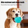 Dog Rubber Ball Toy Interactive Squeaky Chew Toy Textured Teeth Cleaning Toy Fetch Ball for Small Medium Large Dogs Training
