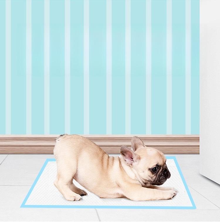 Production of Cat Mattress Pads Super Absorbent Pet Diaper Dog Thick Pee Pads Quickdry Disposable Urine Nappy Mat for Cats Dog Diapers Pet Universal