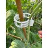 100/200/300Pcs Plant Support Clips Reusable Plant Binding Clip Tomato Trellis Clips for Vine Vegetables Grow Upright Healthier
