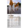 2026 Cats Buttholes Wall Calendar - Hilarious Cat Calendar A Fun Novelty Item For Cat Enthusiasts And Gift Seekers Home Decor