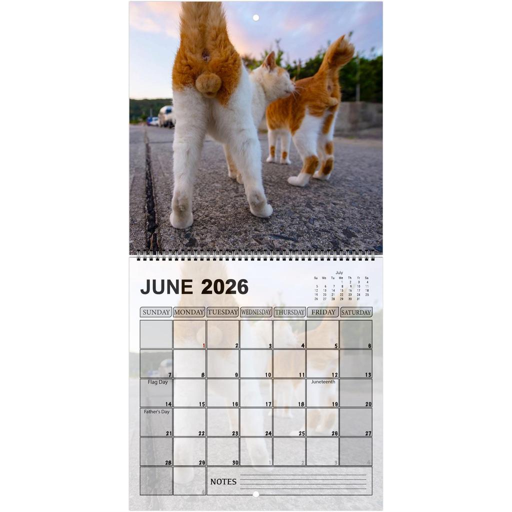 2026 Cats Buttholes Wall Calendar - Hilarious Cat Calendar A Fun Novelty Item For Cat Enthusiasts And Gift Seekers Home Decor
