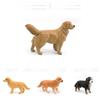 Childrens Pvc Animal Models Featuring Labrador Bernese Mountain And Corgi For Playroom Decor