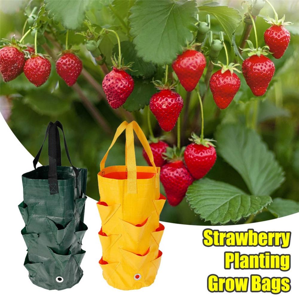 3/2/1PCS 3 Gallon Strawberry Planting Bag PE10 Mouth Flower Planter Pouch Color Hanging Fruit Plant Pot Gardening Seedling Hanging Bag