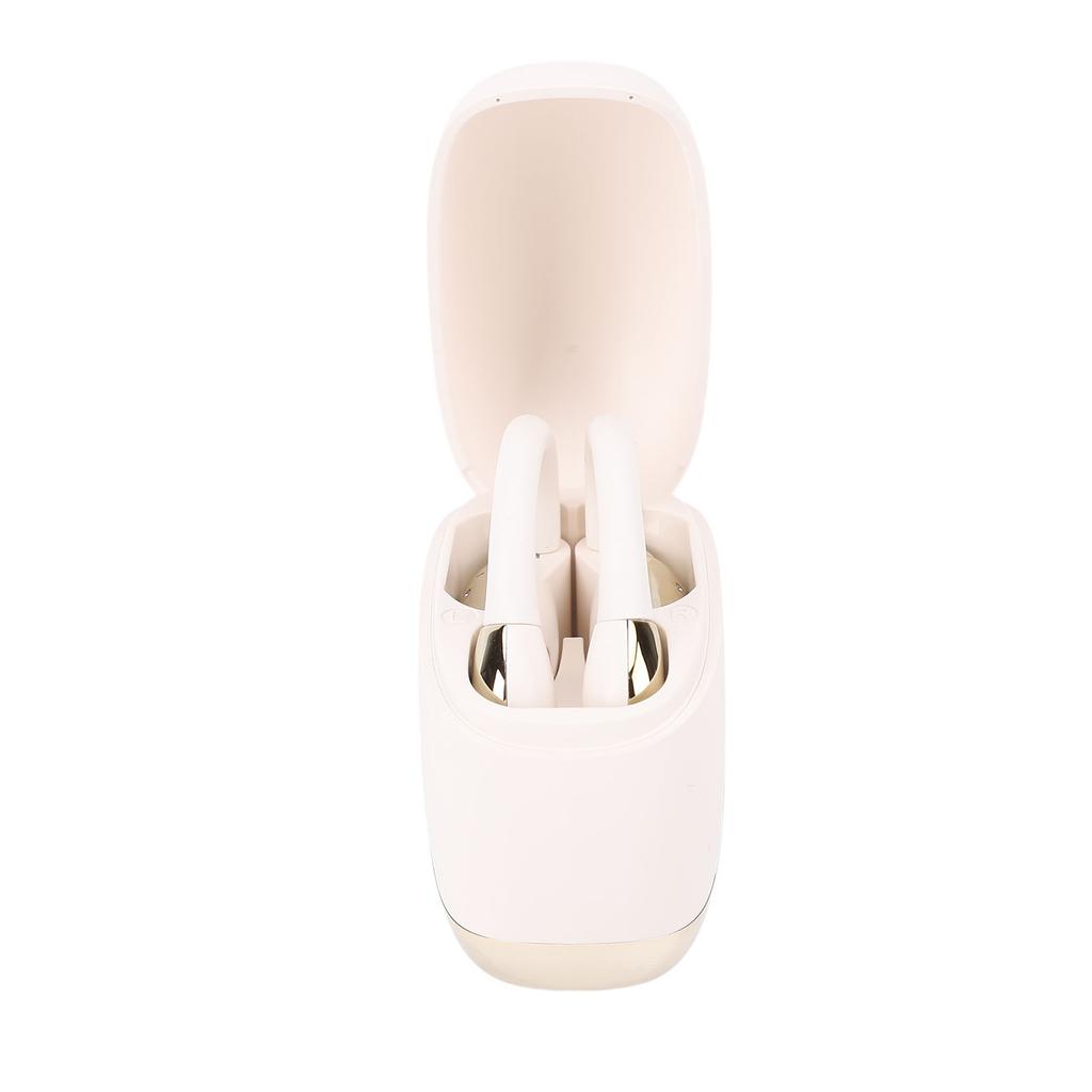 Translation Earbuds Earhook Active Noise Reduction Wireless   AI Language Translator Earbuds