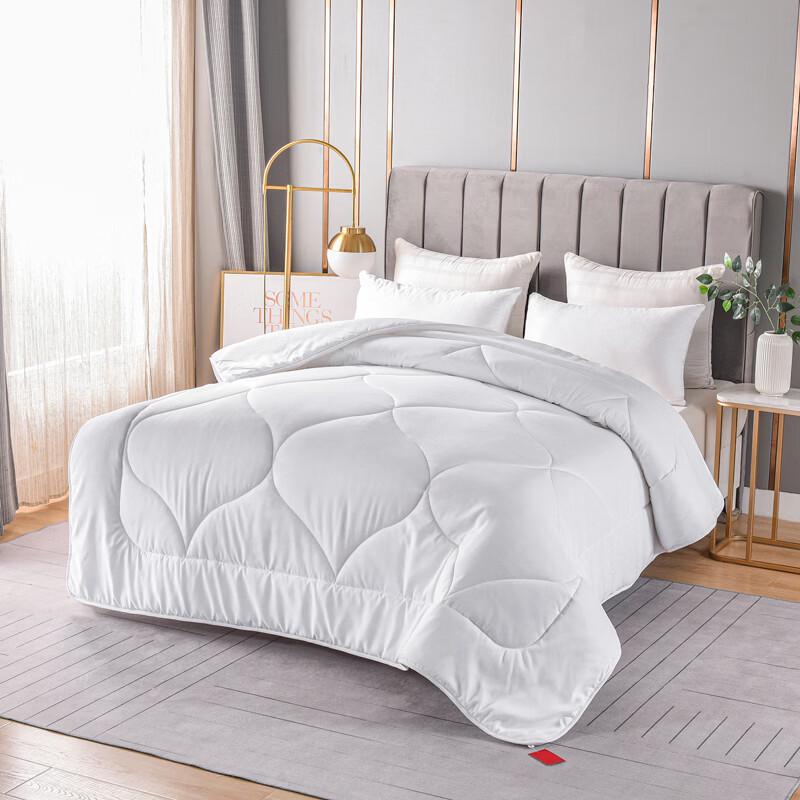 LOVO Luxurious All-Season Warm Quilt