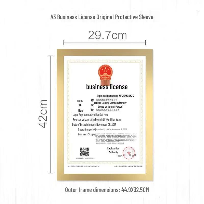 Magnetic A3 Document Display Frame