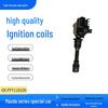 Haima Family Premacy 323 Ignition Coil High Voltage Pack FP8518100CFFY118100