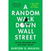 A Random Walk Down Wall Street Paperback UKN628