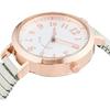 Fieldwork Watch Analog Purja Waterproof Bellows Metal Band Pink Gold ST277-1 Women's Gray
