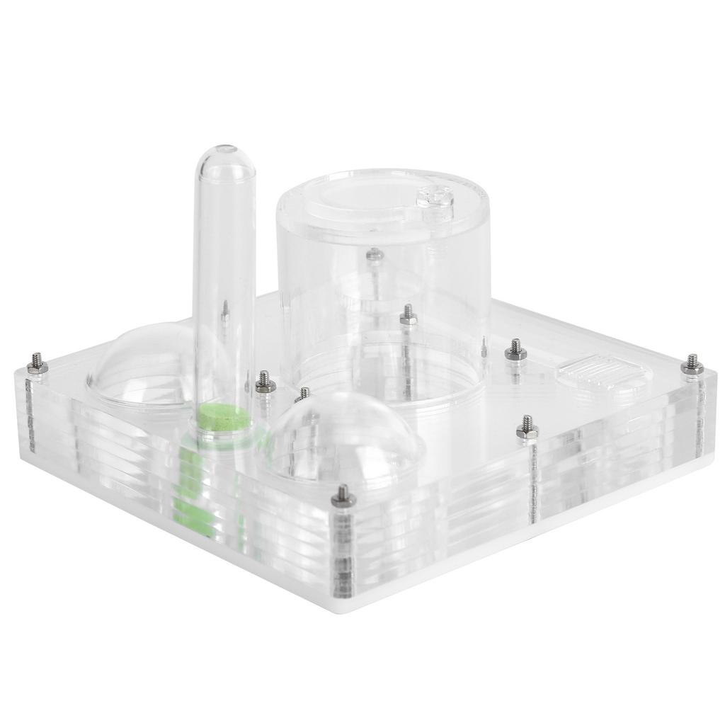 Acrylic Ant Breeding Box Transparent Watching Feeding Case Ants House Toy for Children