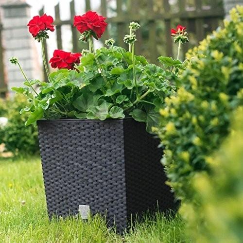 Low Flowerpot with Insert for Flowers Plants Herbs Balcony Garden Anthracite