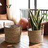 Natural Rattan Plant Pots Woven Seagrass Pot with Handle, Built-in Plastic Film Lining Versatile Baskets Storage Basket, Flower Basket for Indoor And
