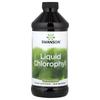 Swanson Liquid Chlorophyll 100mg 473ml 6 pcs 473.18ml