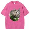 Watermelon Cat Silly Cat Meme T-Shirt Summer Sport Loose T Shirt Tops Shirt Is A Stylish Unisex Top for Both Men and Women