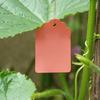 100 etiquetas para plantas, de plástico, resistentes al agua y a la intemperie, coloridas y colgantes para jardín.