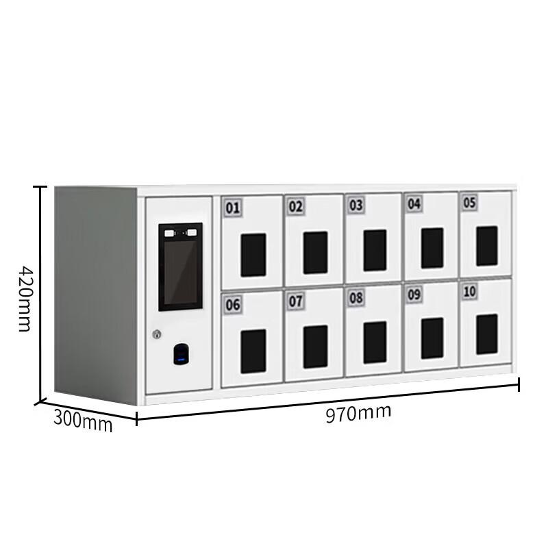 Smart Phone Biometric Security Cabinet