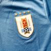 Puma Maglia da Calcio Manica Corta Scollo a V Stampa Logo Casa Versione Tifoso Nazionale Uruguay 2022 Coppa del Mondo Qatar Uomo top Blu 770284-01