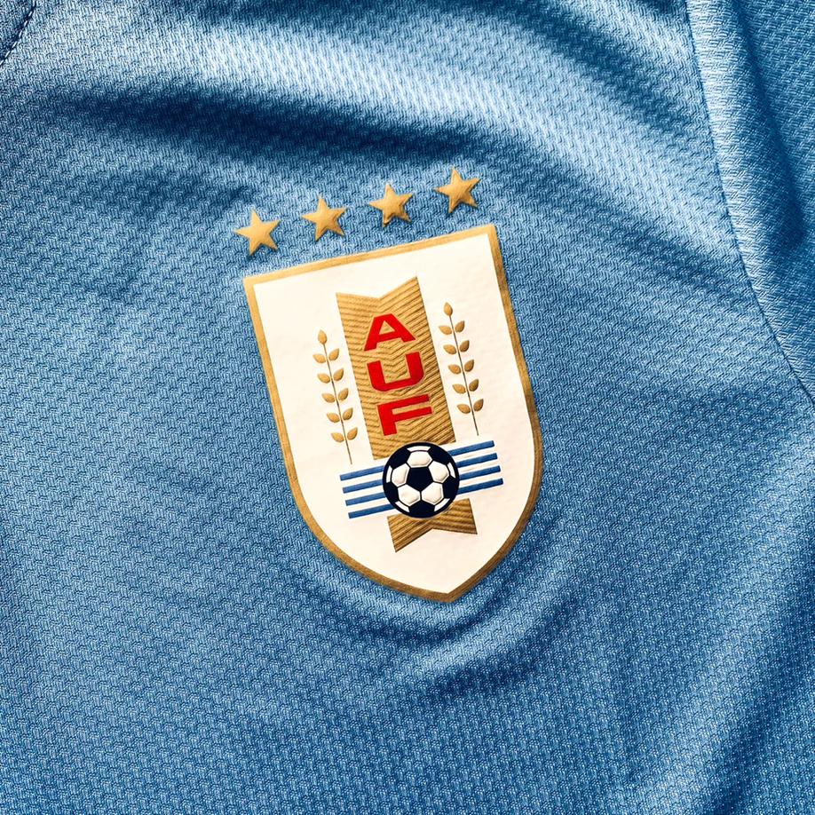 Puma Maglia da Calcio Manica Corta Scollo a V Stampa Logo Casa Versione Tifoso Nazionale Uruguay 2022 Coppa del Mondo Qatar Uomo top Blu 770284-01