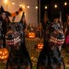 Nastavitelné popruhy Halloweenská maska na tlamu psa Vintage děsivá rekvizita pro mazlíčka Náhubek Cosplay rekvizity