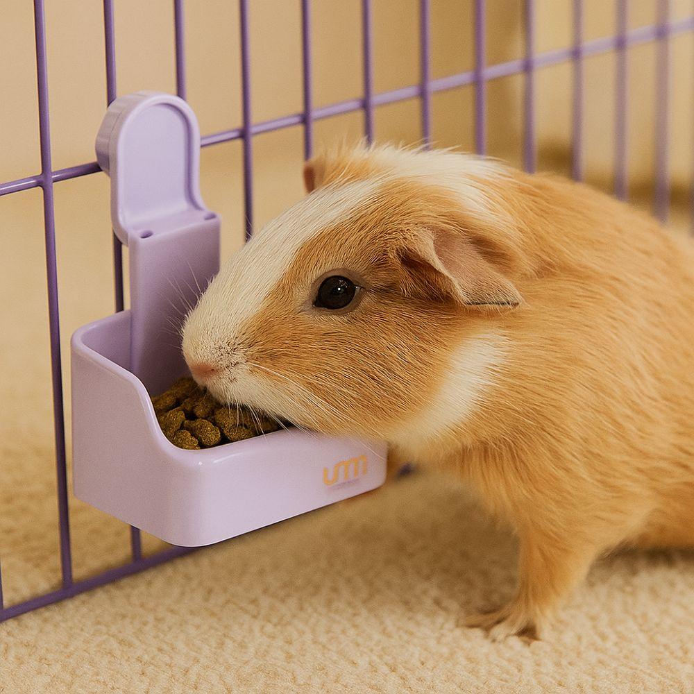 Wall Mounted Rabbit Food Bowl Bite Resistant Guinea Pigs Feeding Bowl  Cage Mount