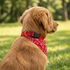 Adjustable Pet Saliva Towel Red Dog Bib Corgi Pet Triangle Scarf  Dog Saliva Absorbing
