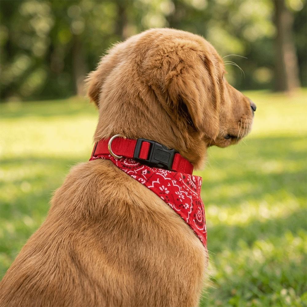 Adjustable Pet Saliva Towel Red Dog Bib Corgi Pet Triangle Scarf Dog Saliva Absorbing