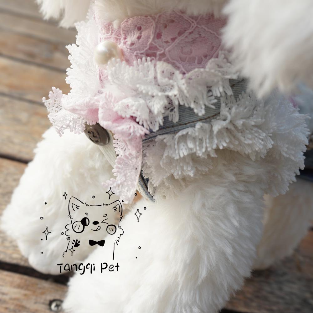 Rochie clasică de modă Tangqi din denim cu bretele în gradient pentru pisici și câini