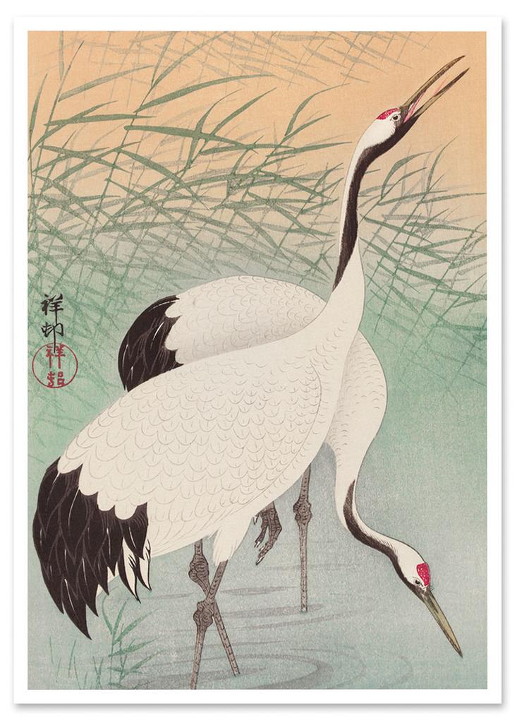 Affiche deux grues japonaises