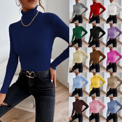 Women's Fashion Autumn and Winter Basic Sweater Knit Turtleneck Casual Slim Ribbed Jumper Female Pullover Tops